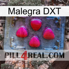 Malegra DXT 13
